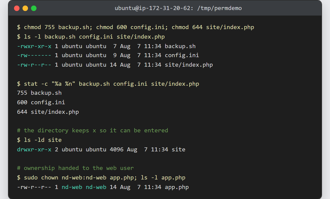 Set file and directory permissions with chmod: ls -l shows 755 on the script, 600 on the config, 644 on the web file, and nd-web ownership after chown
